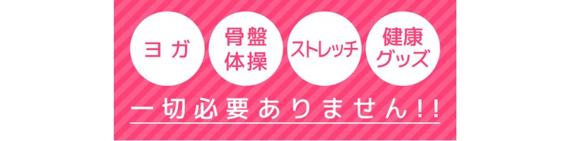 ���������ŗ��z�̃{�f�B��ڎw����u�t���C�r�V�b�g�v���T�C�g